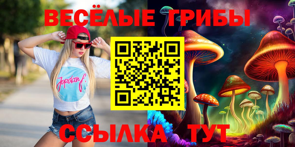 Псилоцибиновые грибы Psilocybine cubensis Подольск