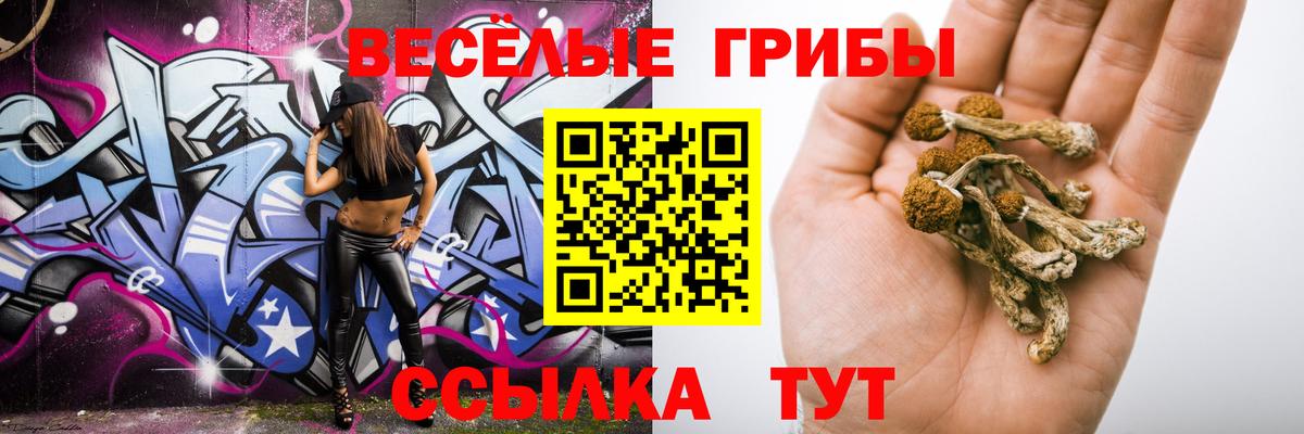 Псилоцибиновые грибы Magic Shrooms  Галлюциногенные грибы мицелий  Подольск  Вход с VPN 